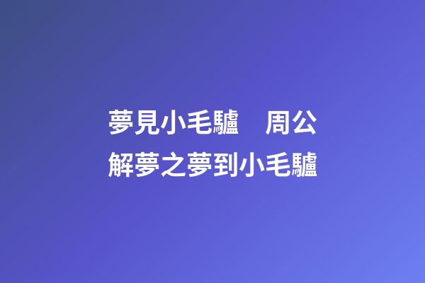 夢見小毛驢　周公解夢之夢到小毛驢